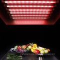 Red LED Tube for Vegetables with Color Box Packed